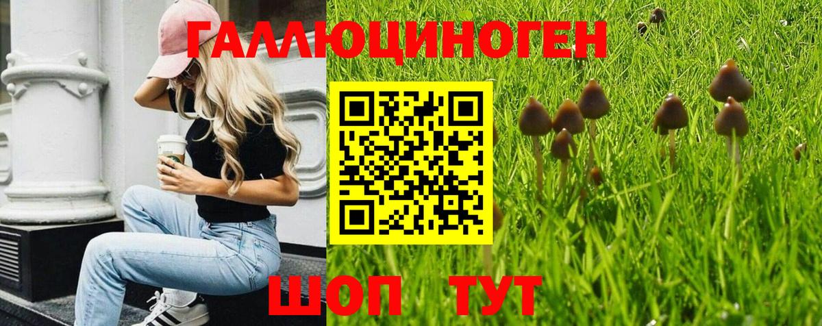 Галлюциногенные грибы GOLDEN TEACHER Звенигород